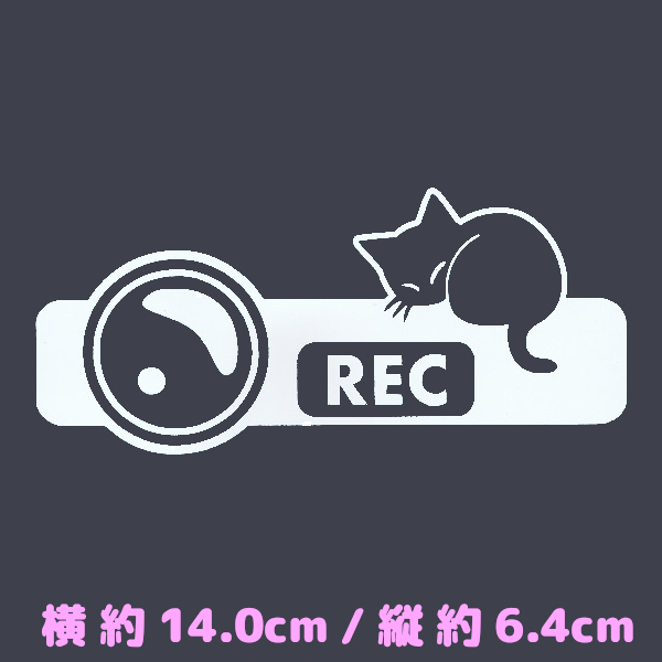 カッティングステッカー 《 ドラレコと丸まるネコ 》 ホワイト色 光沢あり かわいい ねこ 猫 キャット にゃんこ おしゃれ