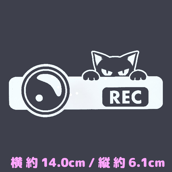 カッティングステッカー 《 ドラレコと覗き見ネコ 》 ホワイト色 光沢あり かわいい ねこ 猫 キャット にゃんこ おしゃれ