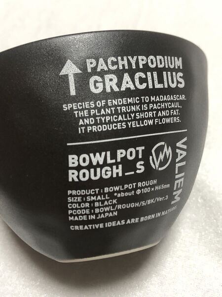 valiem バリエム GRACILIUS 植木鉢 陶器鉢 作家鉢 プランツポット 塊根植物 観葉植物 グラキリス パキプス アガベ ガーデニング
