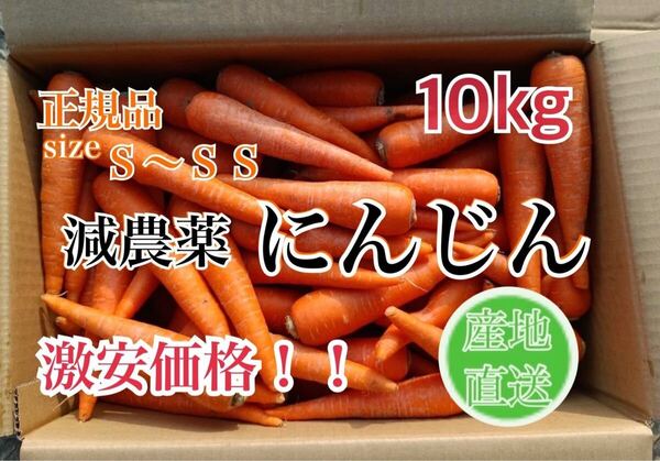 正規品S〜2Sサイズ減農薬にんじん10Kg 激安価格