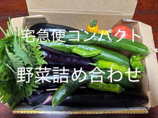 野菜セット 野菜詰め合わせ ゴーヤ ミニトマト 大葉 キュウリ ナス なす 茄子 トマト プチトマト