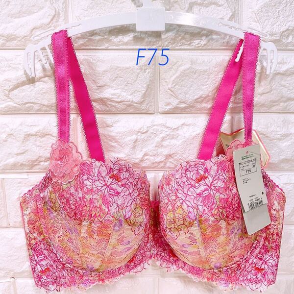 新品 トリンプ プレミアム レッドレーベル0088 ブラジャー F75