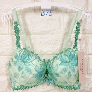 新品 トリンプ フロラーレ510 ブラジャー B75