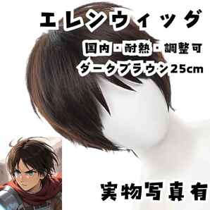 ウィッグ カツラ エレン 進撃の巨人 耐熱 国内調整可 30cm【残3】