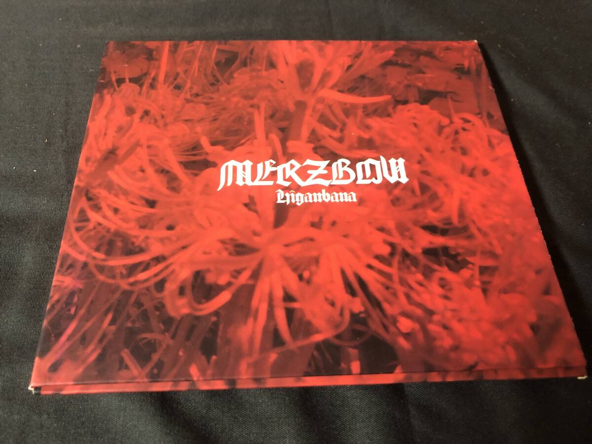 非常階段 雑音伝説 限定500 4枚組CDボックス ノイズ merzbow 2025年最新】Yahoo!オークション -merzbowの中古品・新品・未