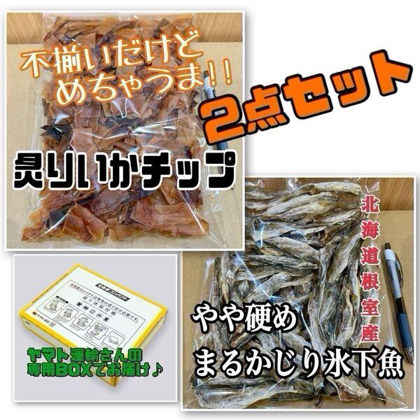 2点セット 不揃いの炙りいかチップ×やや硬めまるかじり氷下魚