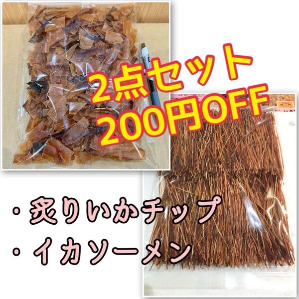 2点セット 不揃いの炙りいかチップ×イカソーメン