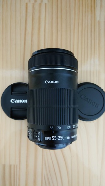 ★実用品★ Canon キャノン 55-250mm F4-5.6 IS STM