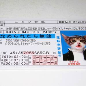 【なめ猫 免許証風 ブロマイド ニャン太郎】なめんなよ猫 なめねこ 青 癒やし かわいい 可愛い ネコ 猫 コスプレ トレカ 癒し系 癒し