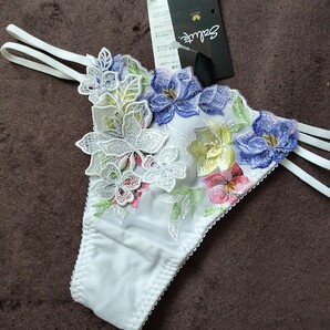 サルート マダガスカル 46 ソング単品 Мサイズ WACOAL 新品未使用品 タグ付 フルタグ