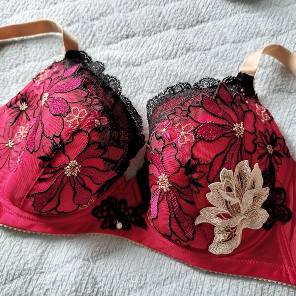 サルート 96G ブラジャー単品 H70 新品未使用品 の
