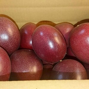 【送料無料】奄美パッションフルーツ ご家庭用!3kg【無農薬】m