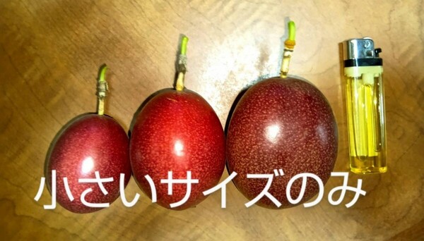 【送料無料】奄美パッションフルーツ ご家庭用!3kg【無農薬】