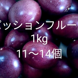 【送料無料】奄美パッションフルーツ ご家庭用!1kg【無農薬】w