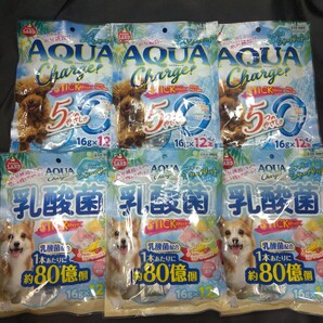 ★★犬の熱中症対策★★5823番☆★6袋72本★シャーベットを冷蔵庫で冷やしてペロペロ★ギリギリ低価格販売の為値下げ不可★送料無料