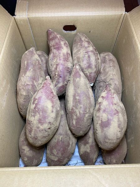 大きめ極上のシルクスィート・さつまいも5キロ♪茨城県産・8ヶ月以上熟成済み シルクスイート大特価