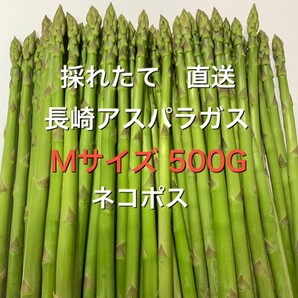 長崎産アスパラガスMサイズ 500グラム