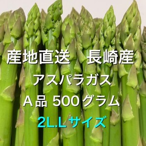 長崎産アスパラガス2L.Lサイズ 500グラム