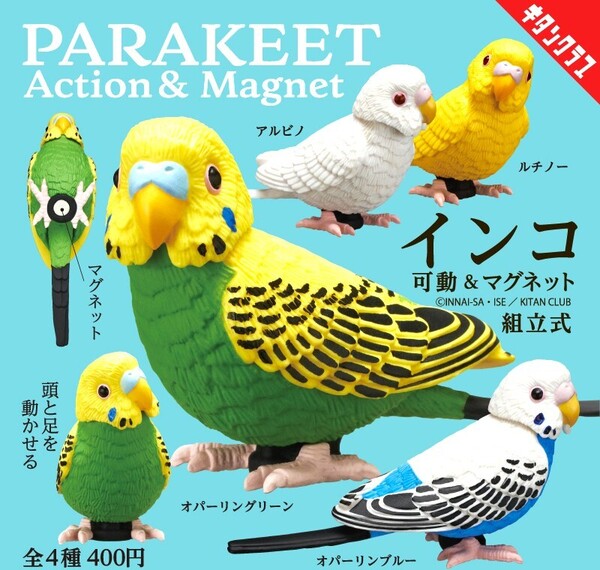 即決》インコ 可動&マグネット【全4種フルコンプセット】送料無料 新品未開封 匿名配送 セキセイインコ オパーリングリーン/ルチノー