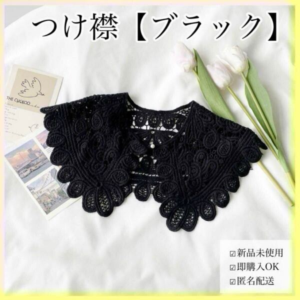 つけ襟 レース ブラック 黒 おしゃれ パール 黒 匿名配送 小物