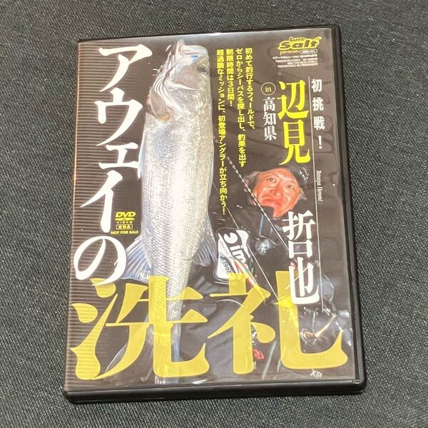 アウェイの洗礼★辺見哲也★非売品★釣り★シーバス★アングラー★DVD★