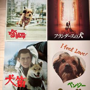 《感動映画名作set フランダースの犬 犬笛》パンフレット4冊セット 三船敏郎 菅原文太 原田芳雄 北大路欣也 竹下景子 酒井和歌子 小池朝雄