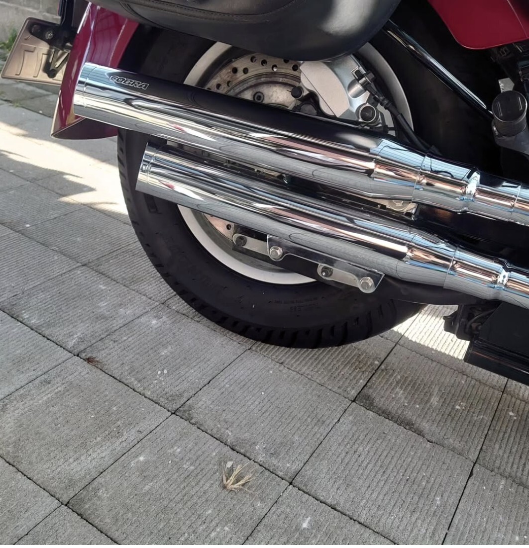 Yahoo!オークション -「vt1300cxマフラー」(ホンダ用) (マフラー