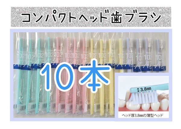 【新品未使用】コンパクトヘッド歯科医院専用歯ブラシ10本 歯科専売 大人用歯ブラシ