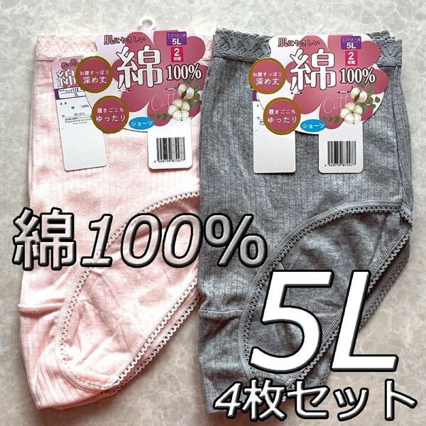大きいサイズ 5L 4枚組 綿100% 無地 ショーツ パンツ 下着 肌着 レディース 婦人 女性 深履き まとめ買い インナー コットン デイリー