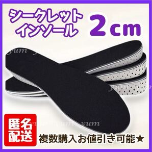 2㎝ シークレットインソール 中敷き 男女兼用 22.5~27cm