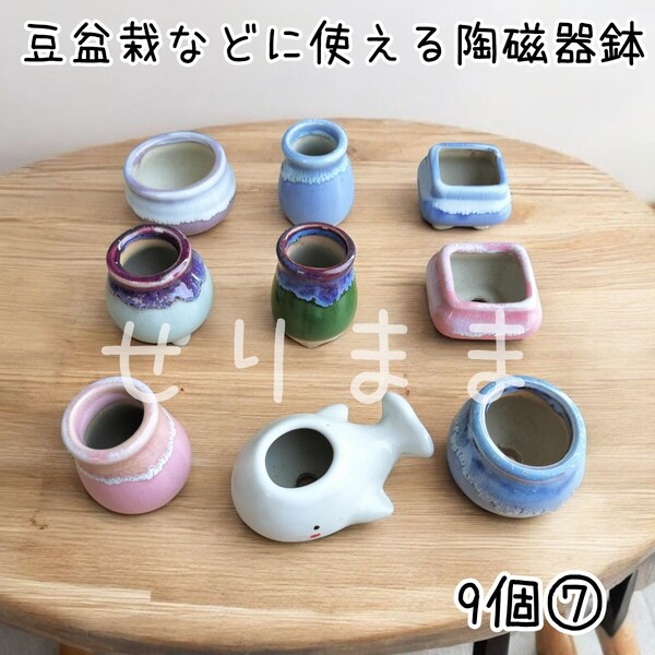 ミニ陶磁器鉢 9点セット⑦ 豆盆栽 多肉植物 エアプランツなどにおすすめ◎