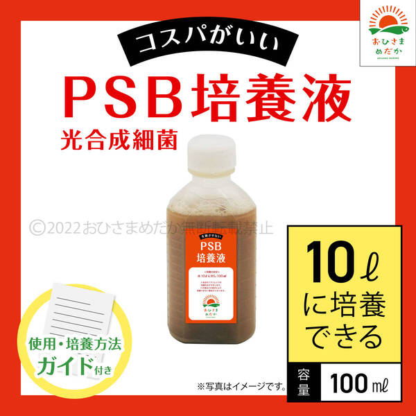 コスパ最強【PSB培養液 100ml 10L培養分 送料無料】光合成細菌 メダカ めだか 金魚 ミジンコ ゾウリムシ クロレラ ミジンコ に最適
