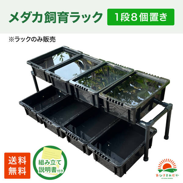SALE★メダカ飼育黒ラック 1段8個置き★ めだか飼育棚NVBOX13 めだか容器産卵撮影 ビオトープゾウリムシPSB針子タマミジンコにどうぞ