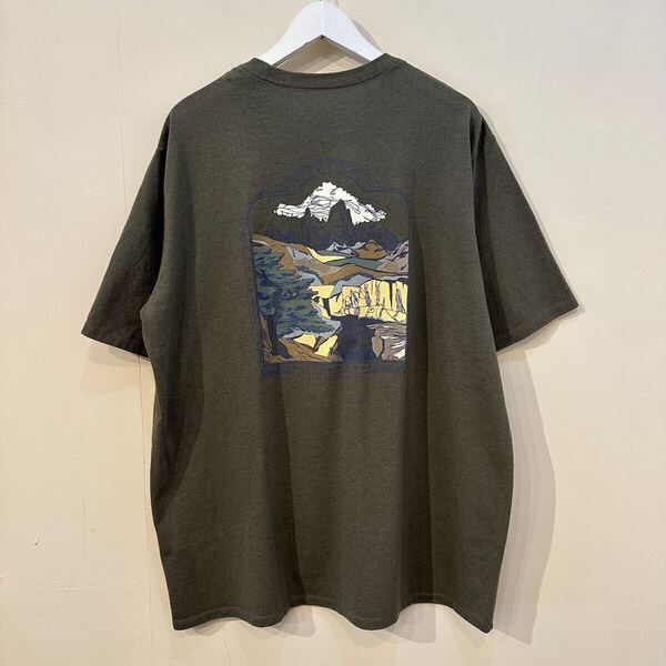 50周年記念 パタゴニア 50イヤー レスポンシビリティー Tシャツ PATAGONIA 50 YEAR RESPONSIBILI TEE SHIET 37690 FA23 TLVG 2023 限定 XL