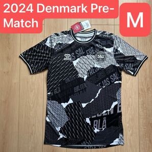 正規品新品☆デンマーク代表2024プレマッチユニフォームMサイズ☆ヒュンメル☆2024 Denmark Pre-Match Shirt (M) Hummel BNWT