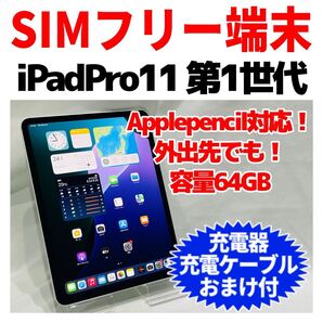 SIMフリー iPad Pro 11 第1世代 本体 64GB 861 シルバー 電池良好