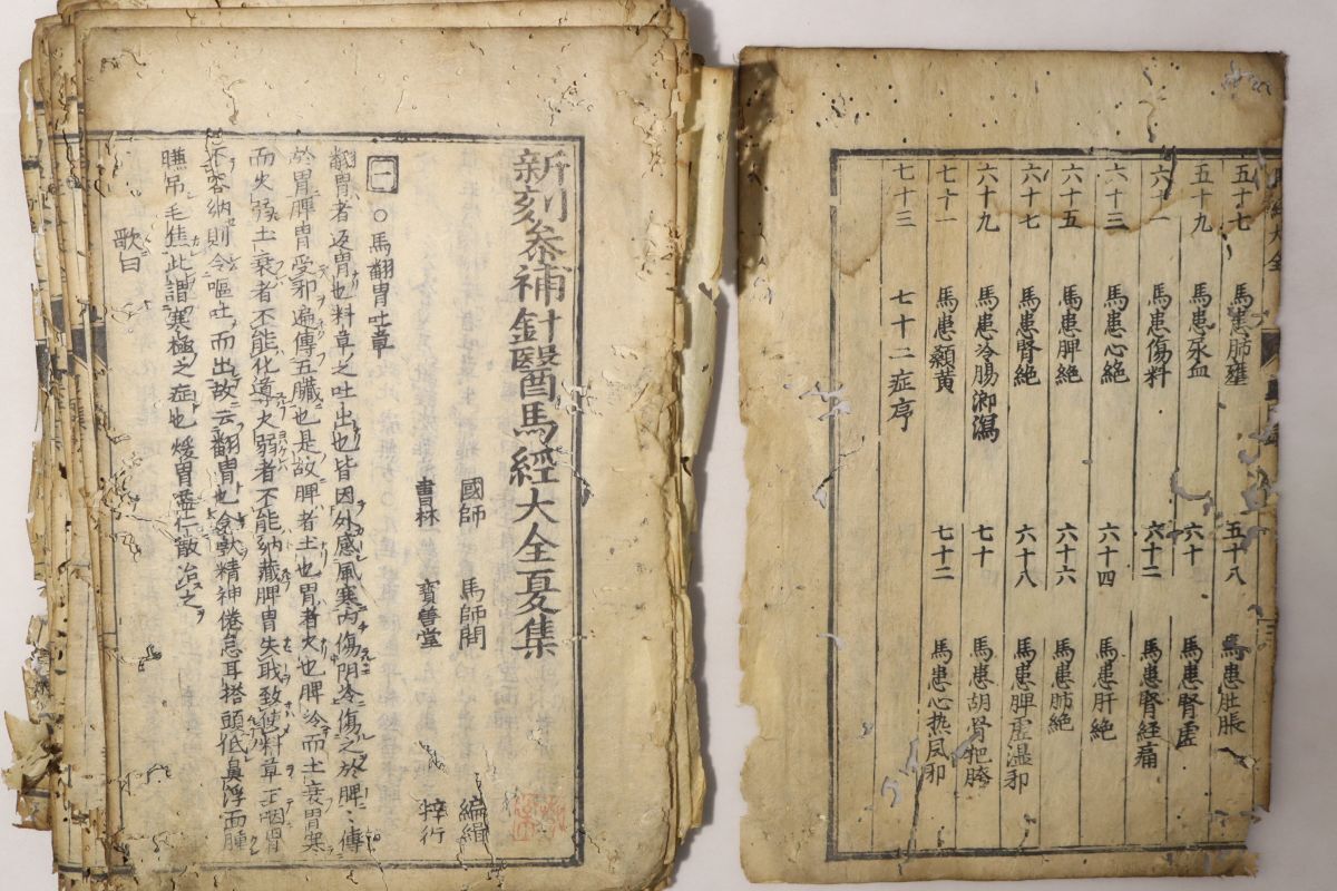 中国漢方薬？古書 古籍 和装本 古本 丹方大全【全9冊揃い】オークション記録有り 中国漢方薬？古書 古籍 和装本 古本 丹方大全【全9冊揃い