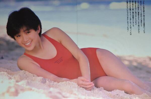 酒井法子 超大量 240P ファイル 4冊 切り抜き 1986年〜1996年