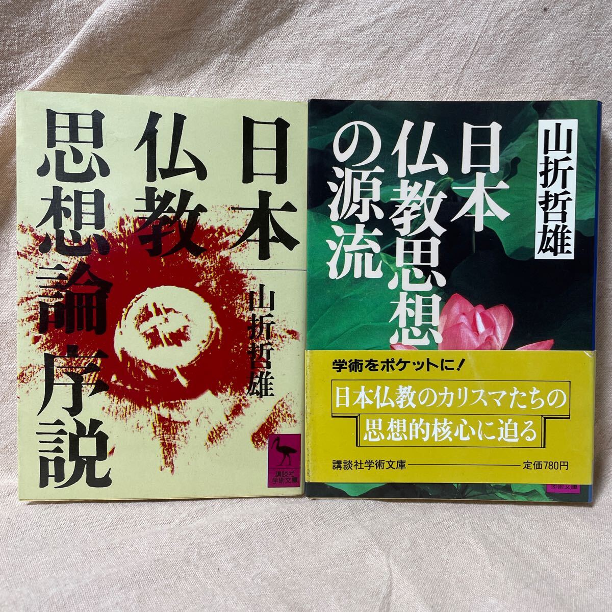 講談社学術文庫  まとめ売り  51冊セット Amazon.co.jp: 宝島 講談社文庫上下巻BOXセット : 真藤 順丈: 本
