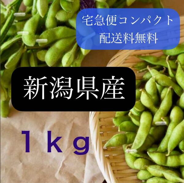 〈産地直送〉夏採れ枝豆1kg