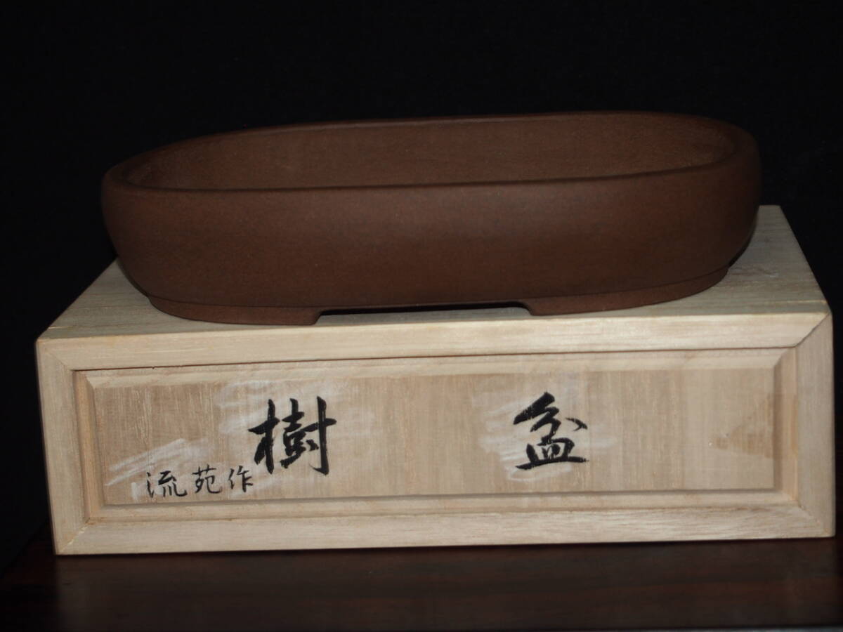 流苑　人気鉢 流苑 正方鉢 11.5cm【現】【送料無料】 | 盆栽鉢・水盤,現代小鉢