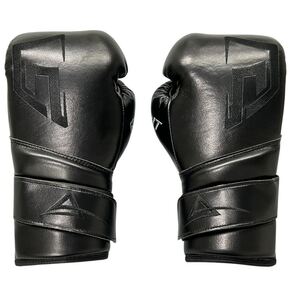 GRIT BOXING GLOVE ボクシンググローブ ブラック