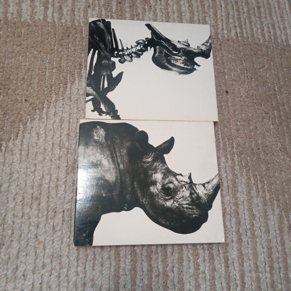 Mr.Children 1996-2000 1992-1995 CD ミスターチルドレン