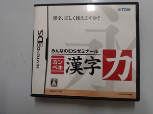 みんなのDSゼミナール カンペキ漢字力 DSソフト
