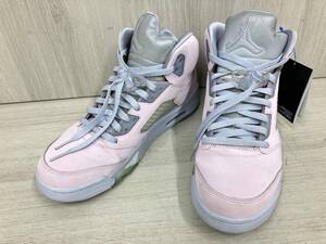 NIKE AIR JORDAN 6 RETRO SE スニーカー 28.5cm ピンクグレー DV0562-600