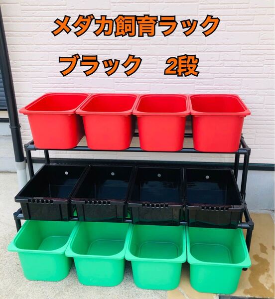 メダカ飼育ラック ブラック【接着剤付】 NVBOX13を12個置けます
