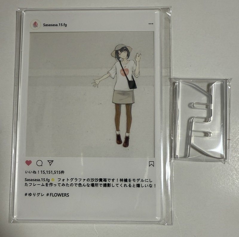 FLOWERS 缶バッジセット イノセントグレイ 2025年最新】Yahoo!オークション -innocent grey flowers