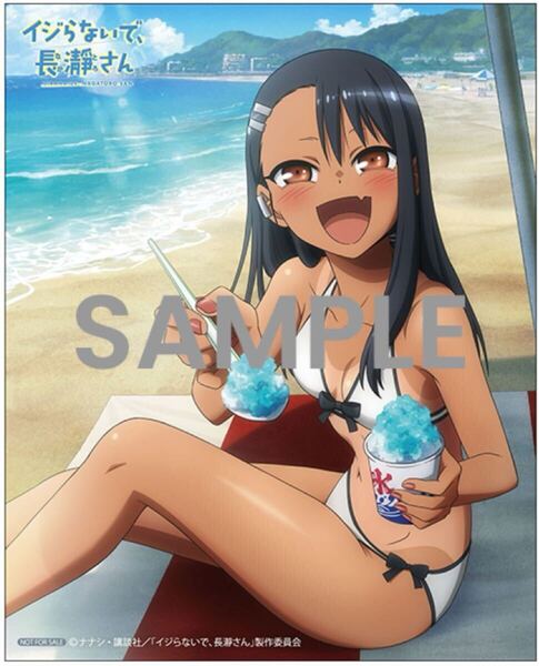 TVアニメ イジらないで、長瀞さん 初回仕様版 Blu-ray/DVD アニメイト全巻購入特典 描き下ろしキャンバスアート ナナシ 長瀞早瀬