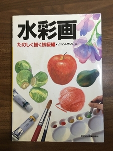水彩画 たのしく描く初級編 (ビジョン入門シリーズ) ビジョン企画出版社