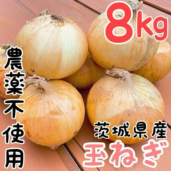 超お得【農薬不使用】玉ねぎ8Kg!大セール